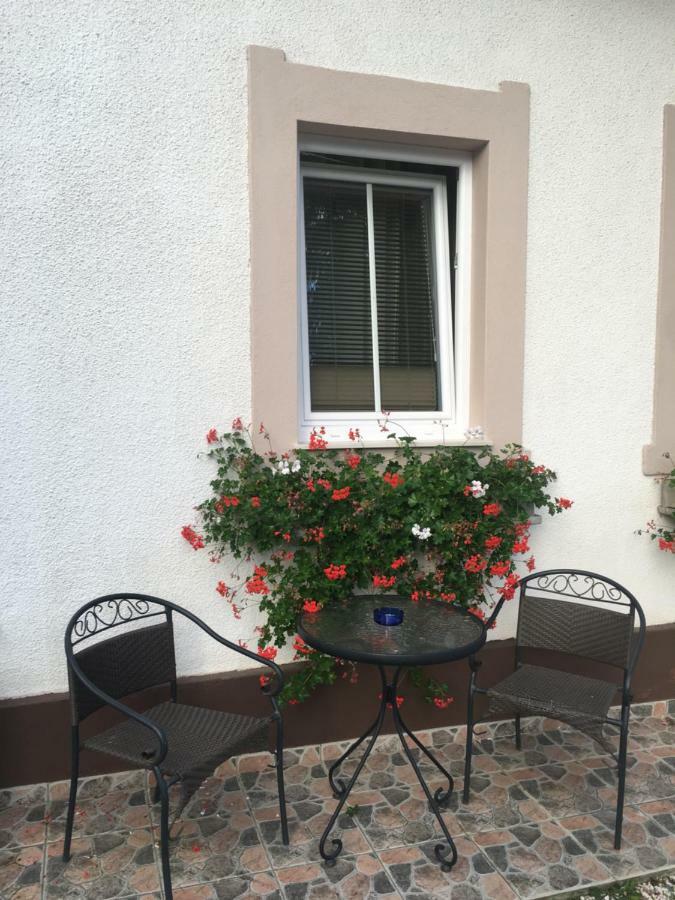 Apartma Eli Appartement Bled Buitenkant foto